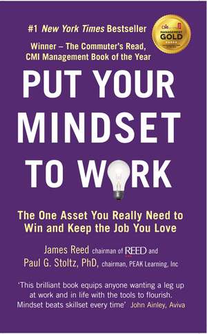 Put Your Mindset to Work: The One Asset You Really Need to Win and Keep the Job You Love de James Reed