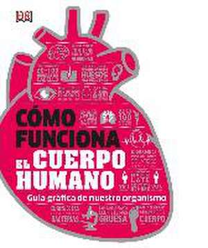 CÓMO FUNCIONA EL CUERPO HUMANO