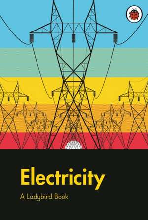 A Ladybird Book: Electricity de Elizabeth Jenner