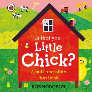 Is that you, Little Chick?: A pull-and-slide flap book de Rob Hodgson