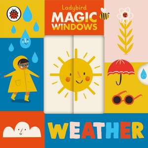 Magic Windows: Weather de Ladybird