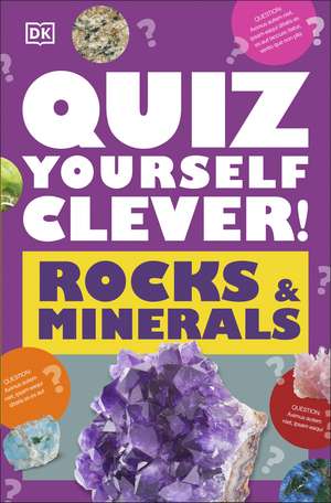 Quiz Yourself Clever! Rocks and Minerals de DK