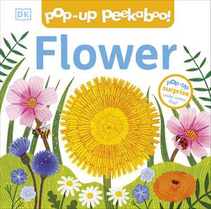 Pop-Up Peekaboo! Flower de DK