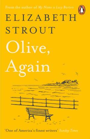 Olive, Again: New novel by the author of the Pulitzer Prize-winning Olive Kitteridge de Elizabeth Strout