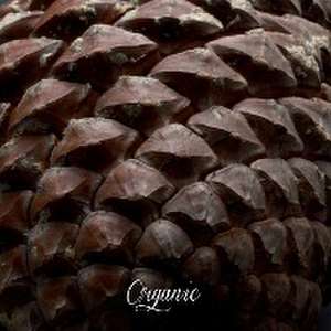 Organic de Kovacs Krisztian