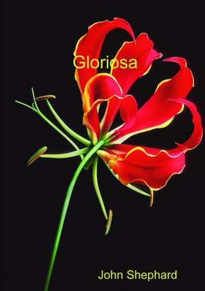 Gloriosa de John Shephard