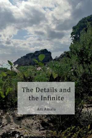 The Details and the Infinite de Ari Amala