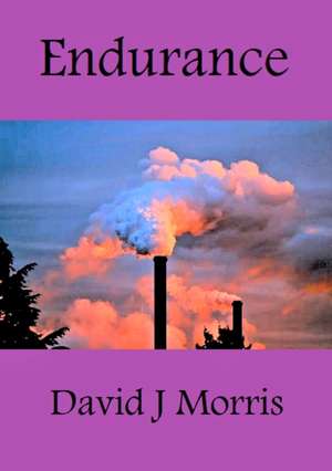 Endurance de David J Morris