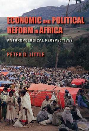 Economic and Political Reform in Africa – Anthropological Perspectives de Peter D. Little