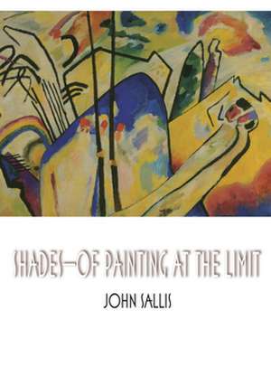 Shades – Of Painting at the Limit de John Sallis