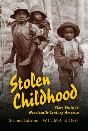 Stolen Childhood, Second Edition – Slave Youth in Nineteenth–Century America de Wilma King