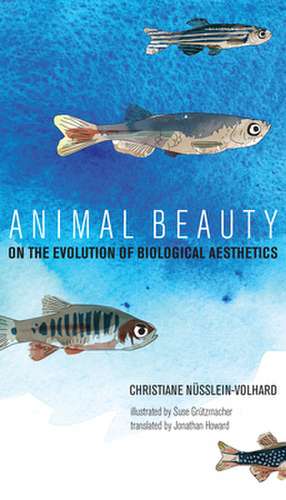 Animal Beauty – On the Evolution of Biological Aesthetics de Christiane Nüsslein–volhar