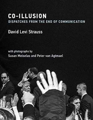 Co-Illusion de David Levi Strauss