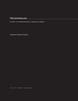 Metamodeling – A Study of Approximations in Queueing Models de Subhash C Agrawal