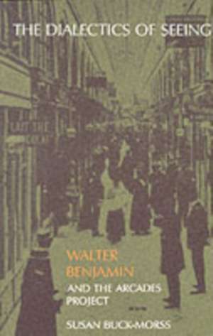 The Dialetics of Seeing: Walter Benjamin & the Arcades Project de Susan Buck Morss