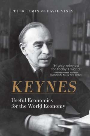 Keynes – Useful Economics for the World Economy de Peter Temin