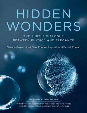 Hidden Wonders: The Subtle Dialogue Between Physics and Elegance de Etienne Guyon