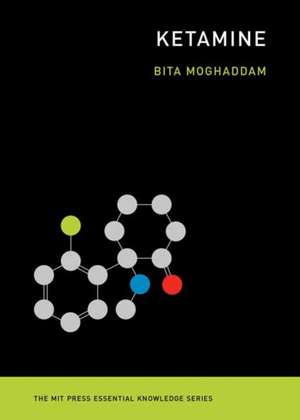 Ketamine de Bita Moghaddam