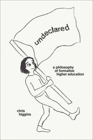 Undeclared de Chris Higgins