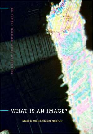 What Is an Image?: Painting the Church in the Dutch Republic de JAMES ED ELKINS
