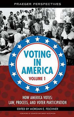 Voting in America [3 Volumes]: Past, Present, and Future de Morgan E. Felchner