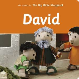 David – As Seen In The Big Bible Storybook de Maggie Barfield