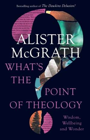 What`s the Point of Theology? – Wisdom, Wellbeing and Wonder de Alister Mcgrath