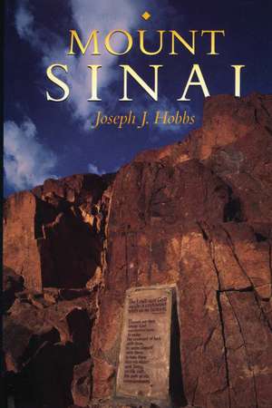 Mount Sinai de Joseph J. Hobbs