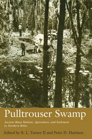 Pulltrouser Swamp: Ancient Maya Habitat, Agriculture, and Settlement in Northern Belize de B. L. Turner