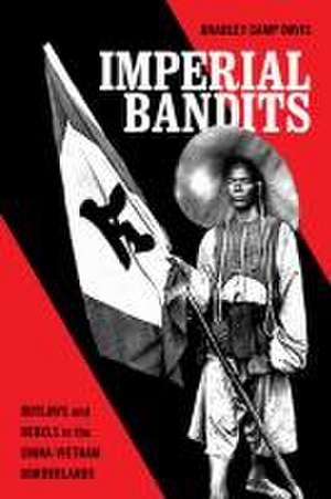 Imperial Bandits – Outlaws and Rebels in the China–Vietnam Borderlands de Bradley Camp Davis