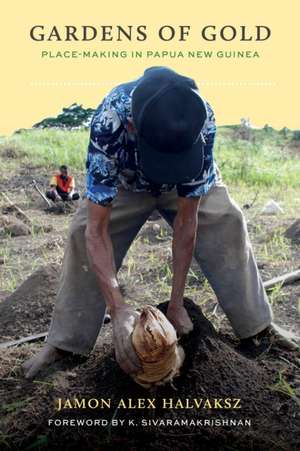 Gardens of Gold – Place–Making in Papua New Guinea de Jamon Alex Halvaksz