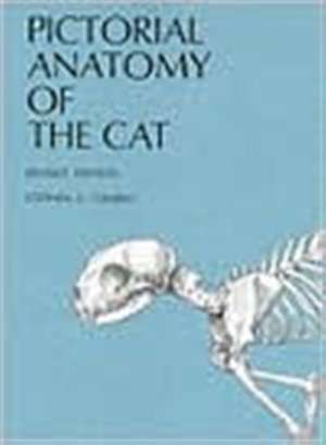 Pictorial Anatomy of the Cat de Stephen G. Gilbert