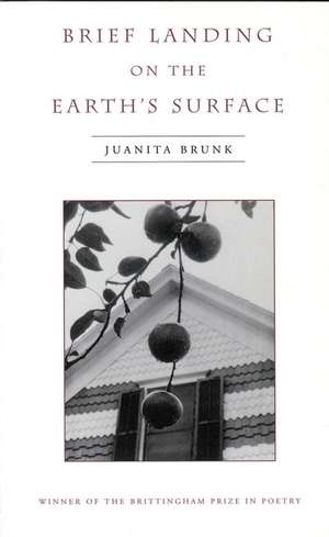 Brief Landing on the Earth's Surface de Juanita Brunk