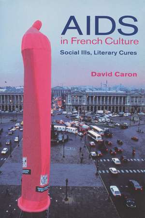 AIDS in French Culture: Social Ills, Literary Cures de David Caron