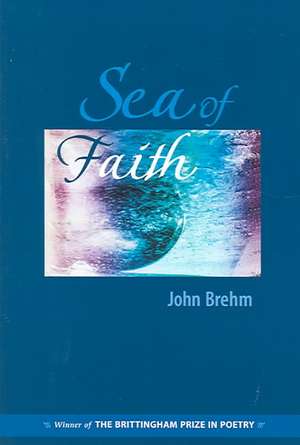 Sea of Faith de John Brehm