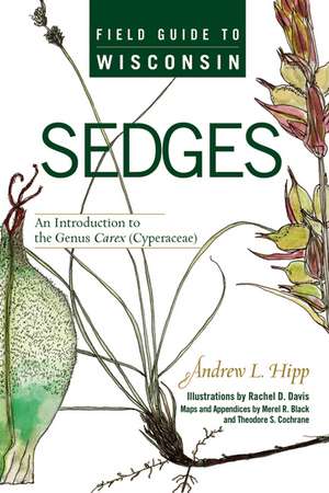 Field Guide to Wisconsin Sedges: An Introduction to the Genus Carex (Cyperaceae) de Andrew L. Hipp