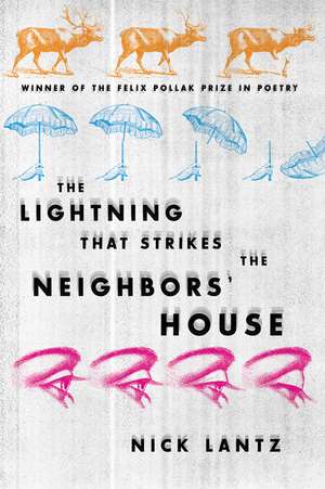 The Lightning That Strikes the Neighbors’ House de Nick Lantz