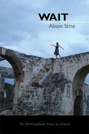 Wait de Alison Stine