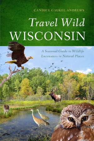 Travel Wild Wisconsin: A Seasonal Guide to Wildlife Encounters in Natural Places de Candice Gaukel Andrews