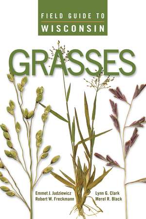 Field Guide to Wisconsin Grasses de Emmet J. Judziewicz