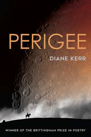 Perigee de Diane Kerr