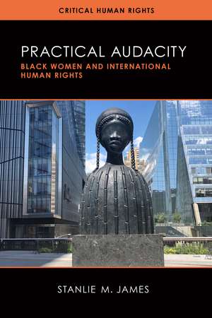 Practical Audacity: Black Women and International Human Rights de Stanlie M. James