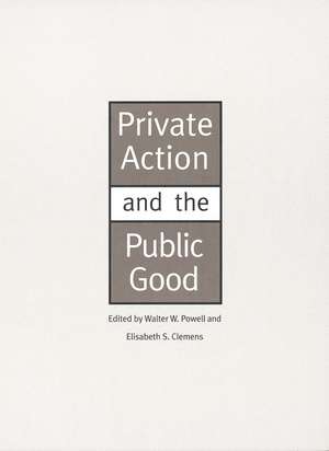 Private Action and the Public Good de Walter W. Powell