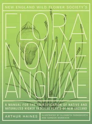 New England Wild Flower Society's Flora Novae Angliae: A Manual for the Identification of Native and Naturalized Higher Vascular Plants of New England de Arthur Haines