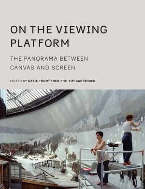 On the Viewing Platform: The Panorama between Canvas and Screen de Katie Trumpener