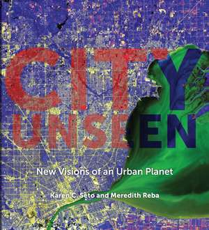 City Unseen: New Visions of an Urban Planet de Karen C. Seto