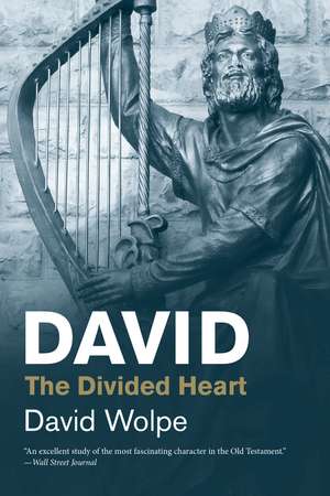 David: The Divided Heart de David Wolpe