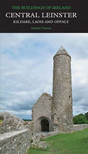 Central Leinster: Kildare, Laois and Offaly de Andrew Tierney