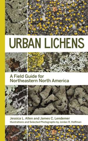 Urban Lichens: A Field Guide for Northeastern North America de Jessica L Allen