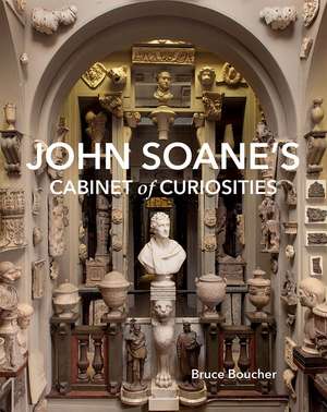 John Soane's Cabinet of Curiosities: Reflections on an Architect and His Collection de Bruce Boucher